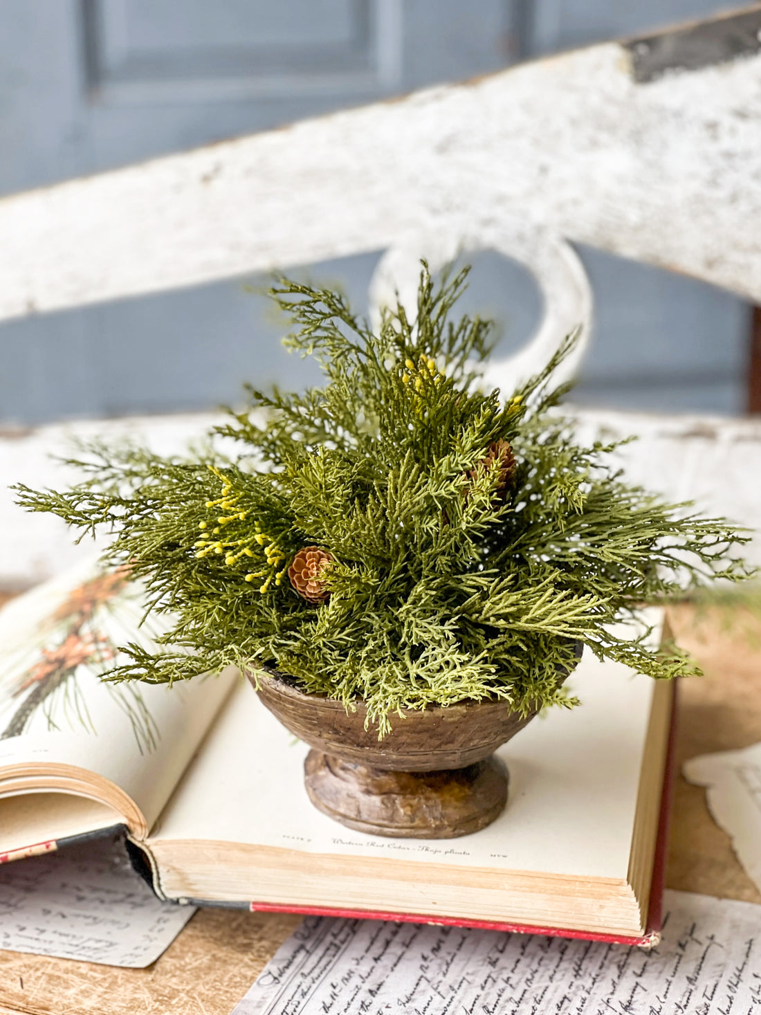 Alpine Cedar Half Sphere Orb