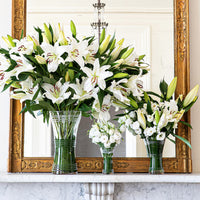 Juliska Ella Corset Vase