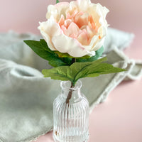 Light Pink Flower In Vase