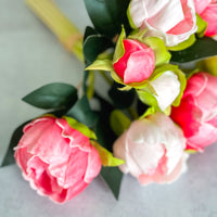 Pink Peony Bundle