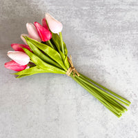 Pink Tulip Bundle