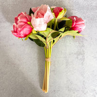 Shades Of Pink Peony Bundle
