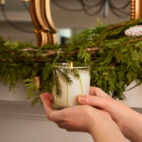 Thymes Frasier Fir Pine Needle Candle 6.5oz
