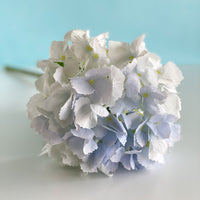 Blue Hydrangea Spray
