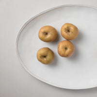 Casafina Fontana White Oval Turkey Platter