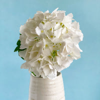 Faux White Hydrangea Stem