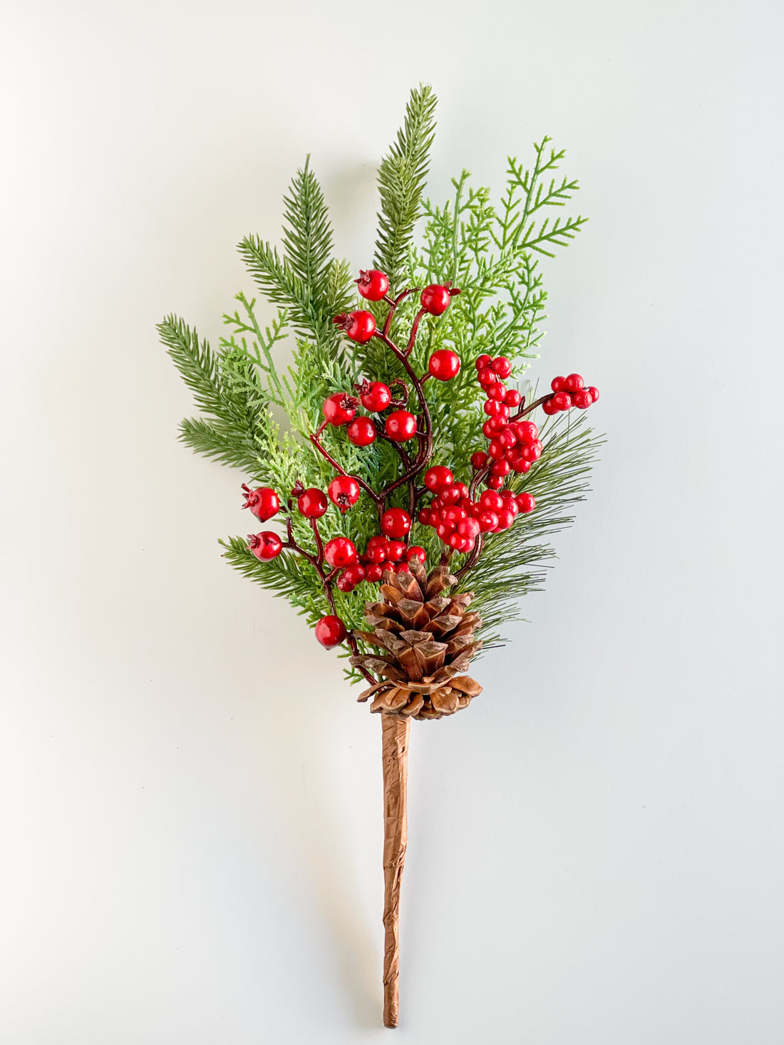 Pinecone And Red Berry Pick