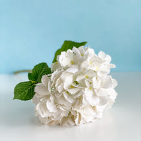 White Hydrangea Spray
