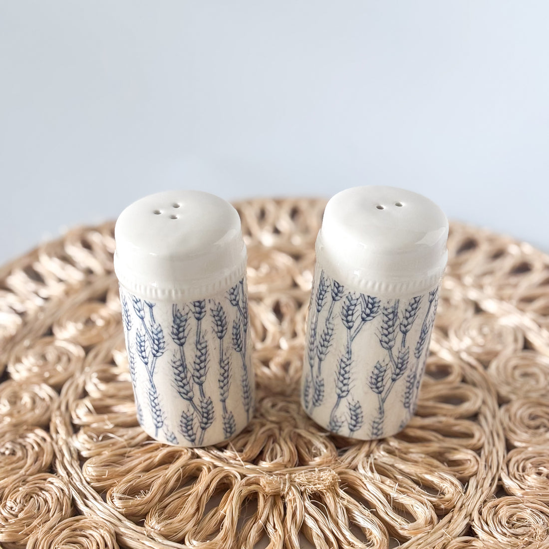 Blue And White Salt And Pepper Shaker Set