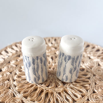 Blue And White Salt And Pepper Shaker Set