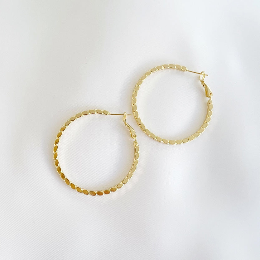 Goldie Hoops Gold Filled Earrings