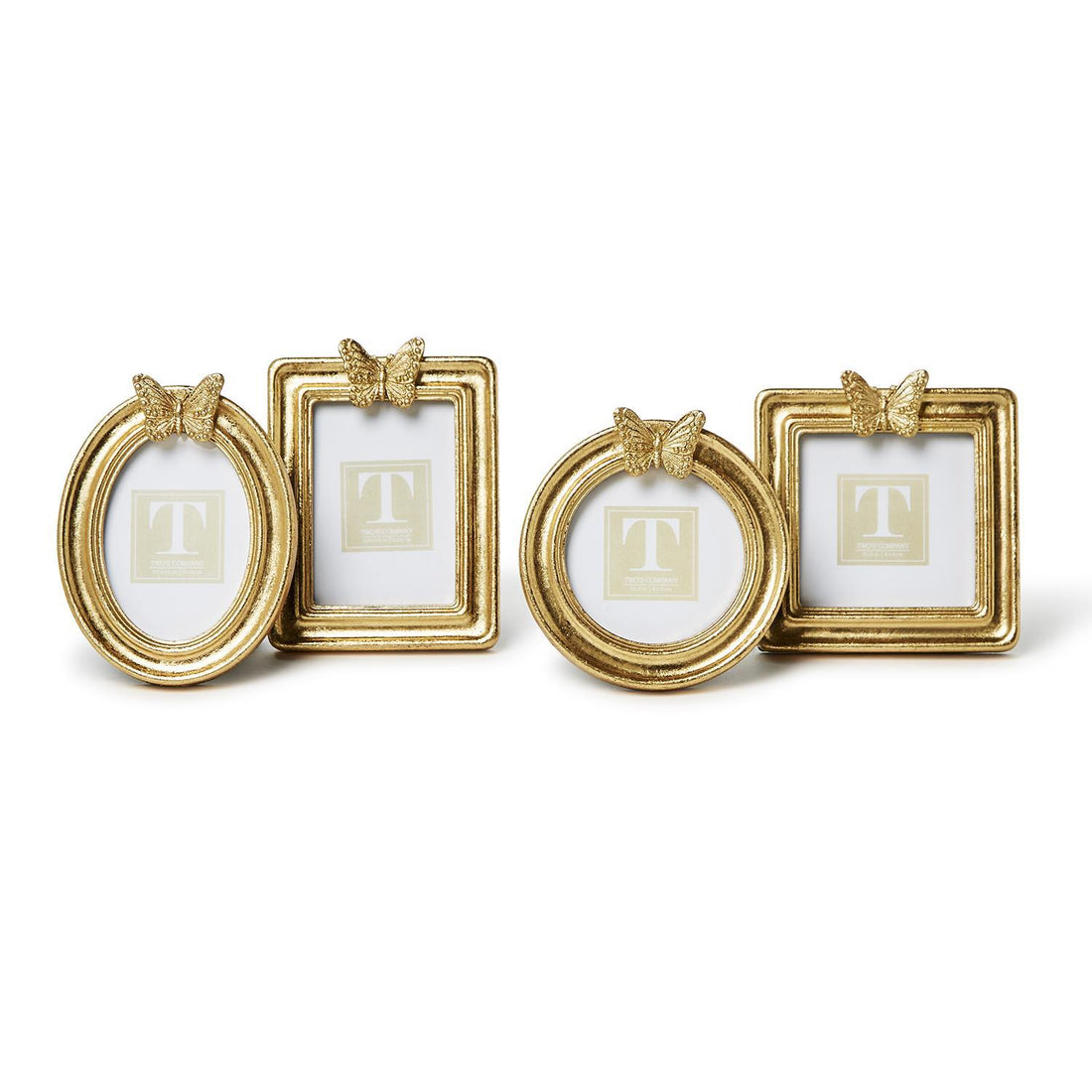 Mini Butterfly Frame