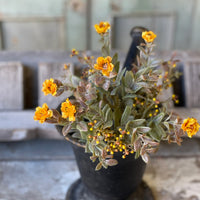 Mustard Autumn Floral Bush