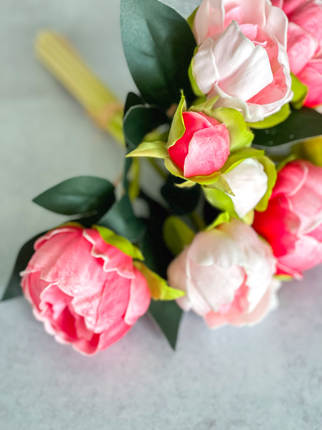 Pink Peony Bundle