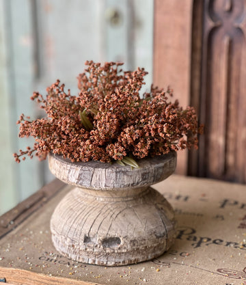 Pumpkin Astilbe Half Sphere