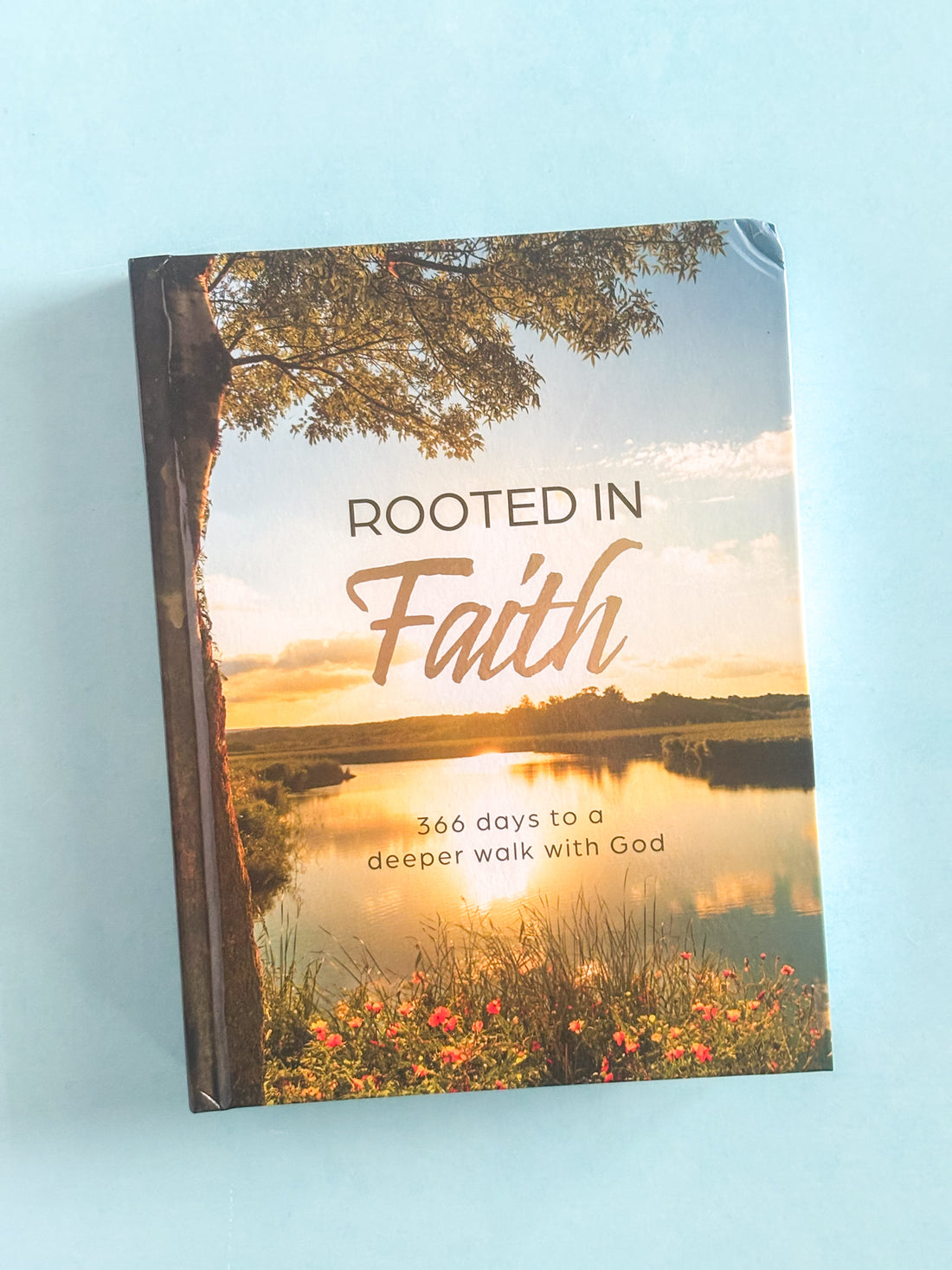 Rooted In Faith