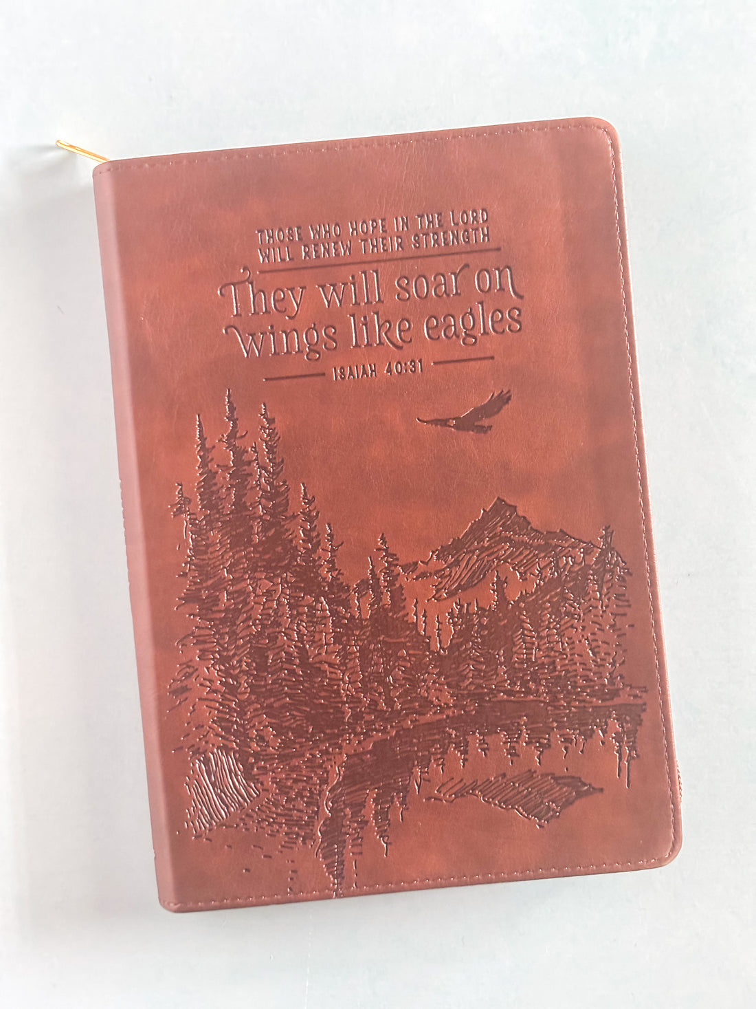 They Will Soar Journal