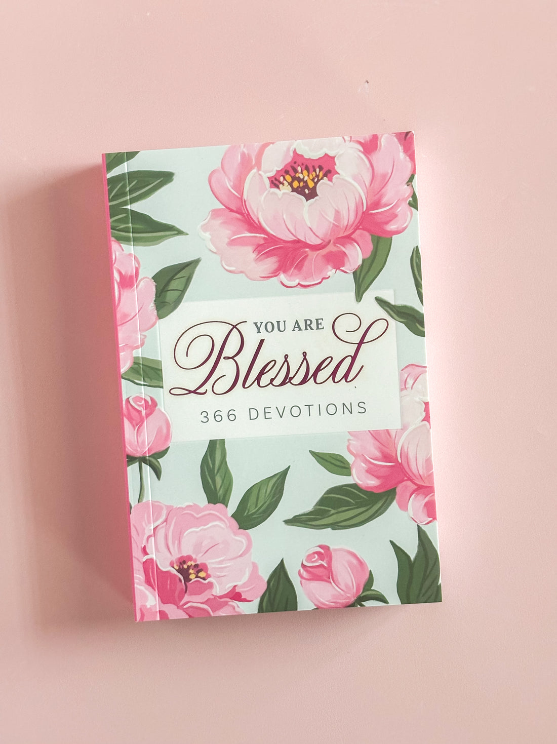 You Are Blessed Devotional