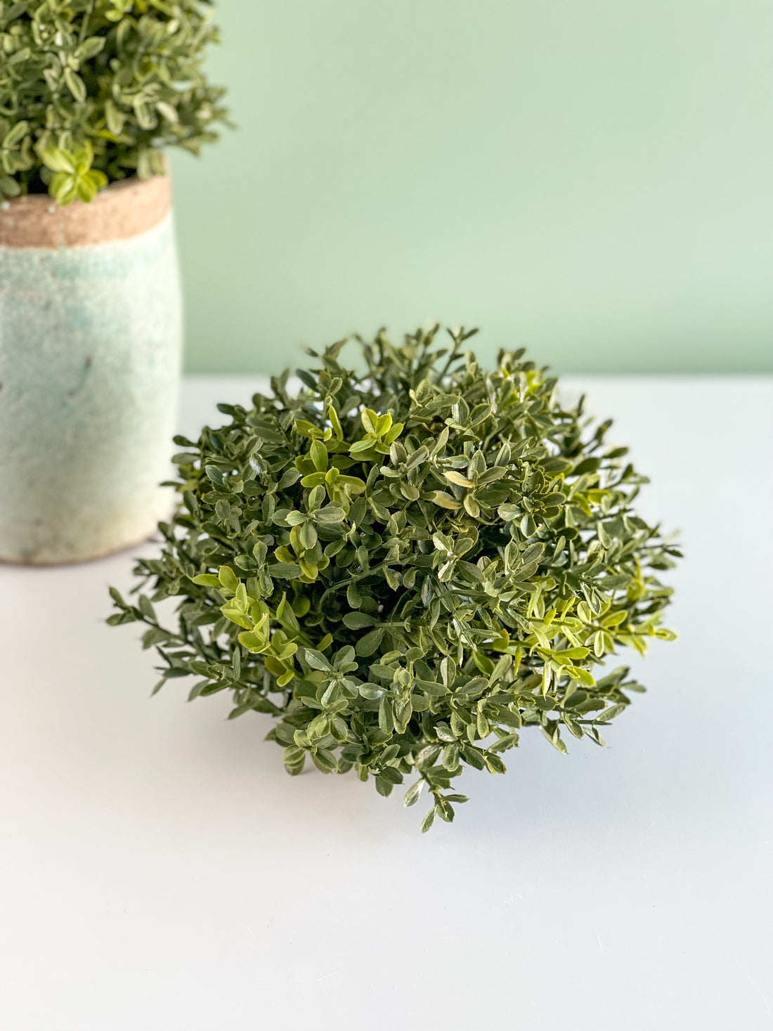 8.5" Boxwood Half Sphere 