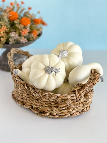 Bag Of White Pumpkins