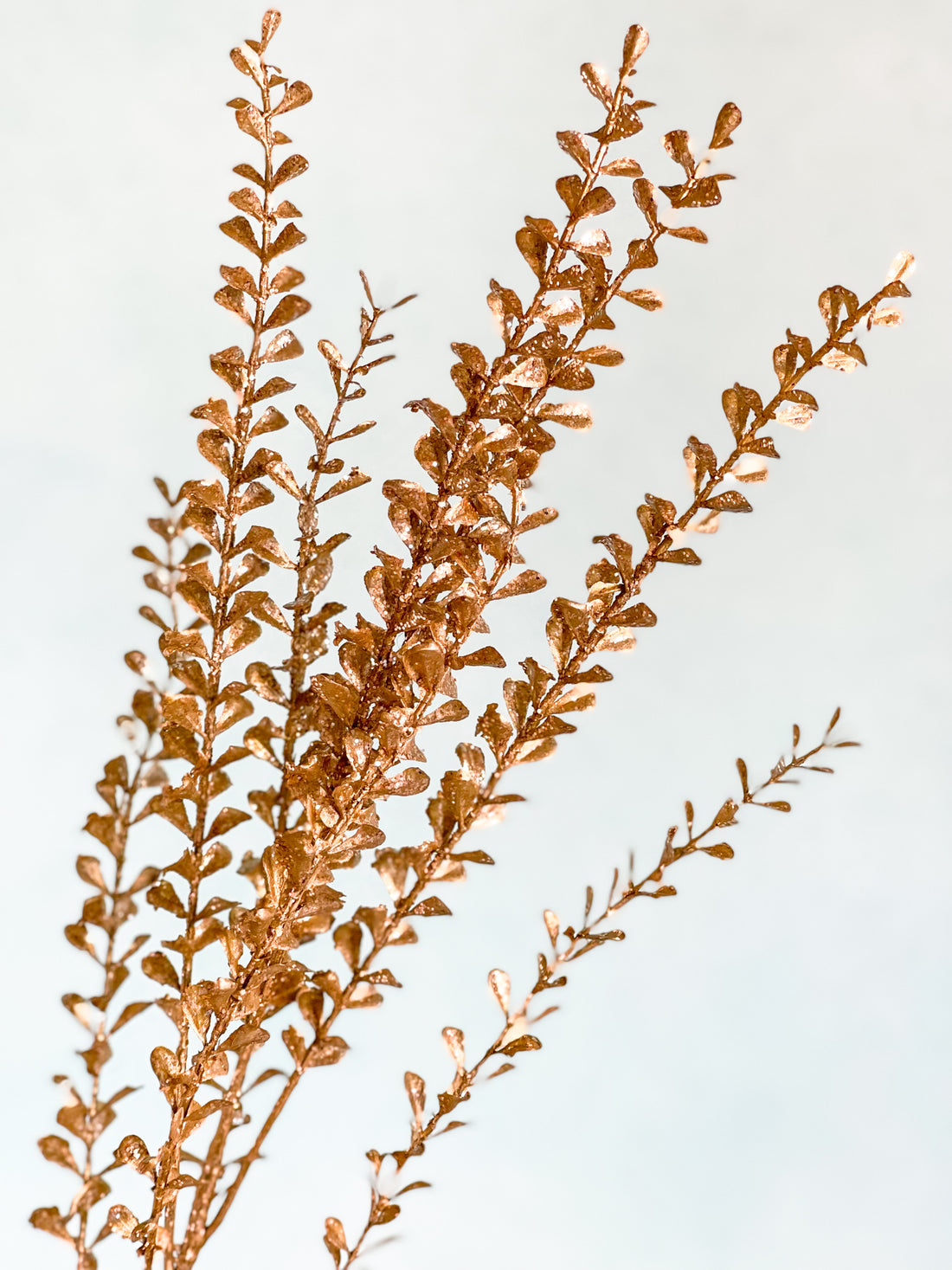 Champagne Glittered Stem