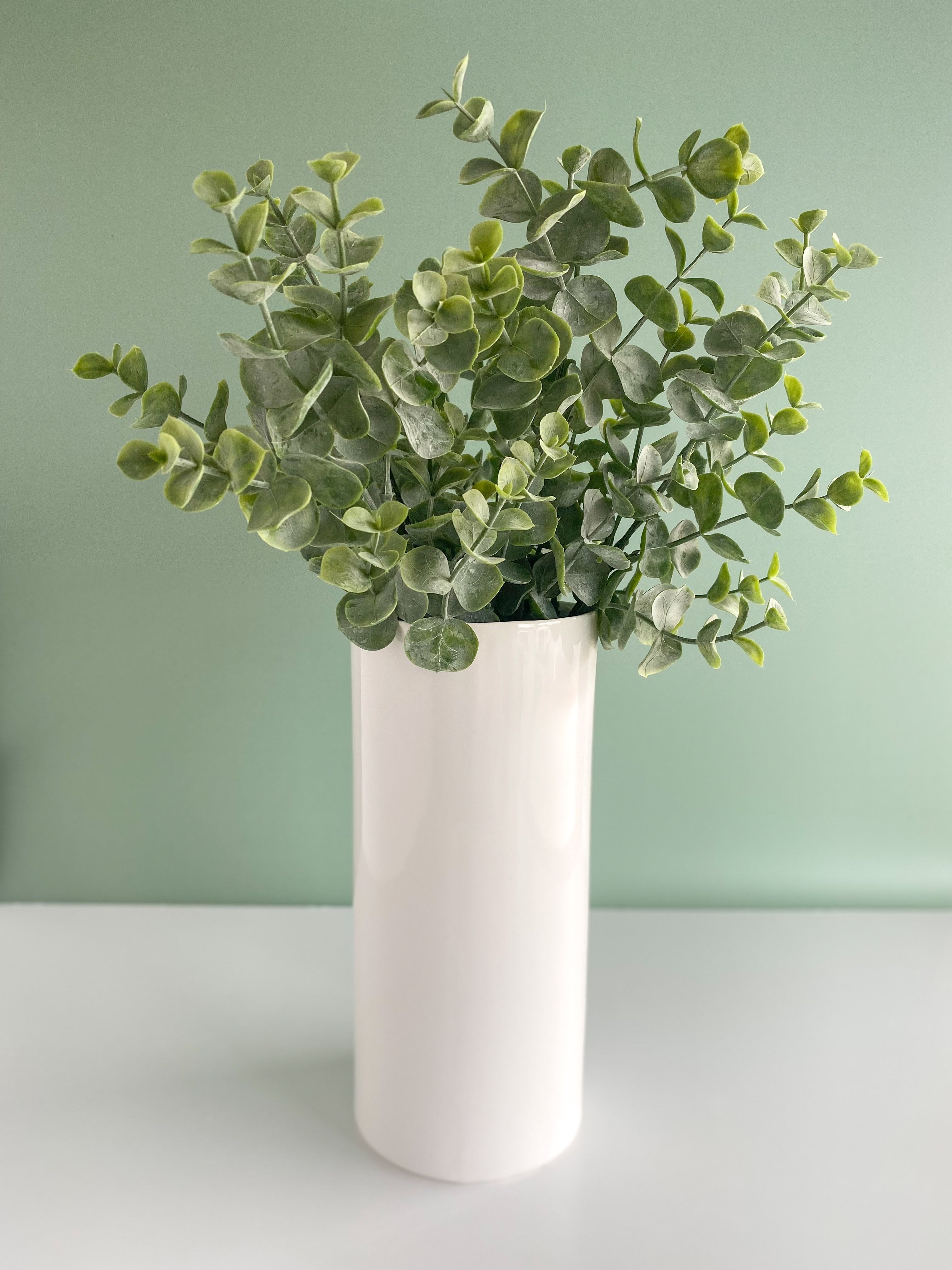 Eucalyptus Bush | SouthernlyPlace