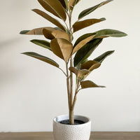 Faux Potted Magnolia Plant