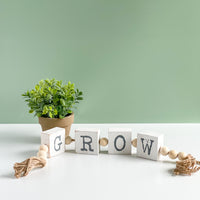 Grow Block Beads
