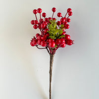 Red Berry Pick